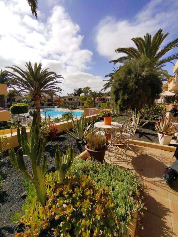 Casa Dan "Residencial Las Dunas" كوراليهو المظهر الخارجي الصورة